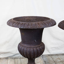 Load image into Gallery viewer, French Cast Iron Planters, Pair, G022