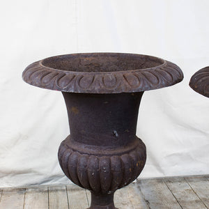 French Cast Iron Planters, Pair, G022
